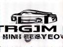 German Miles Automotive Solutions Logo